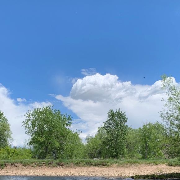 Meet your Posher, Steph - Picture 1 of 1